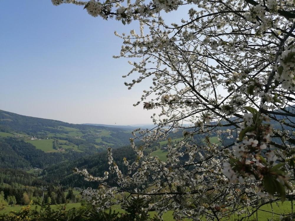 Alpengasthof Fernblick Mönichkirchen Εξωτερικό φωτογραφία